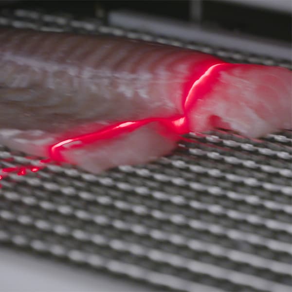 3D_scanning_of_fillet_600-2